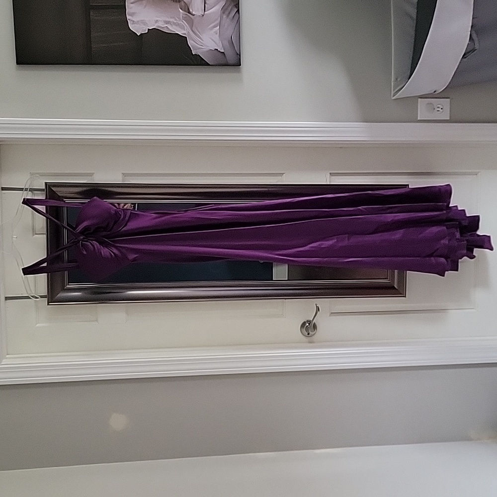 Purple Floor length dress